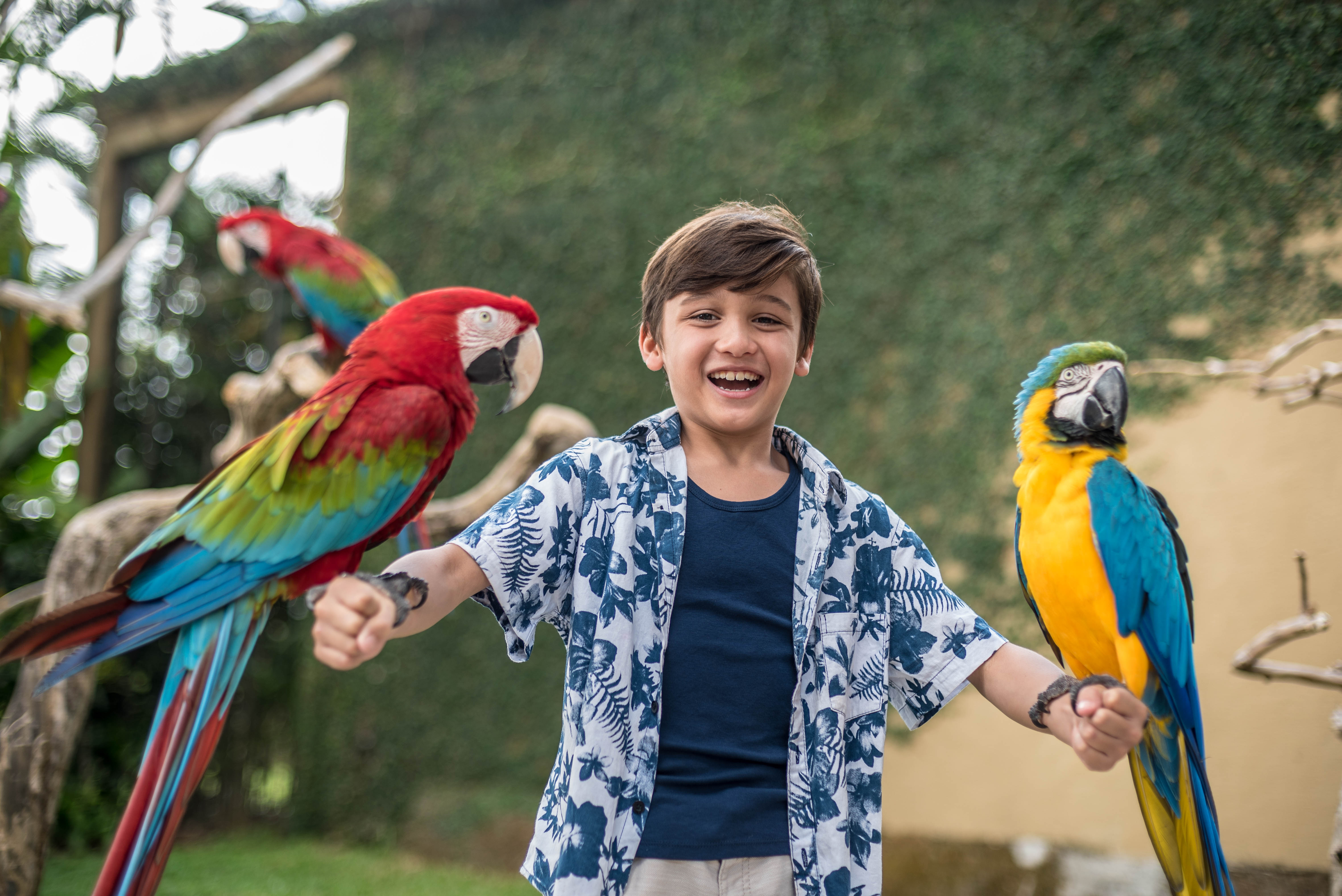 Bali Bird Park (Child) - Overseas/KITAS Holder